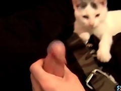 Cute guy plays take his kitten and jerks off